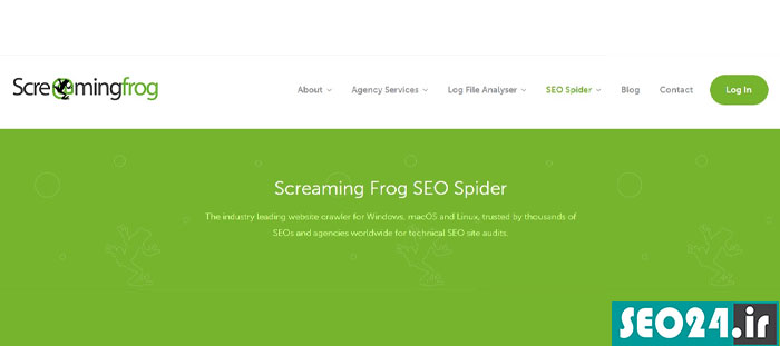  screaming frog