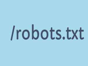 فایل robots.txt را به راحتی تست کنید